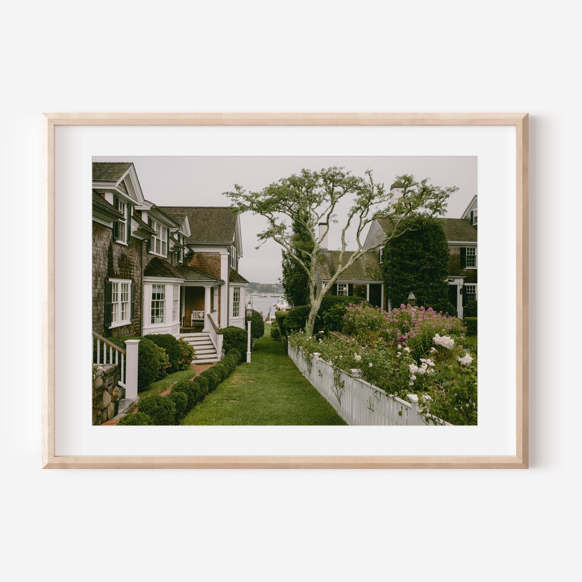 Shingle Cottage Garden Overlooking a Quiet Harbor Fine Art Print