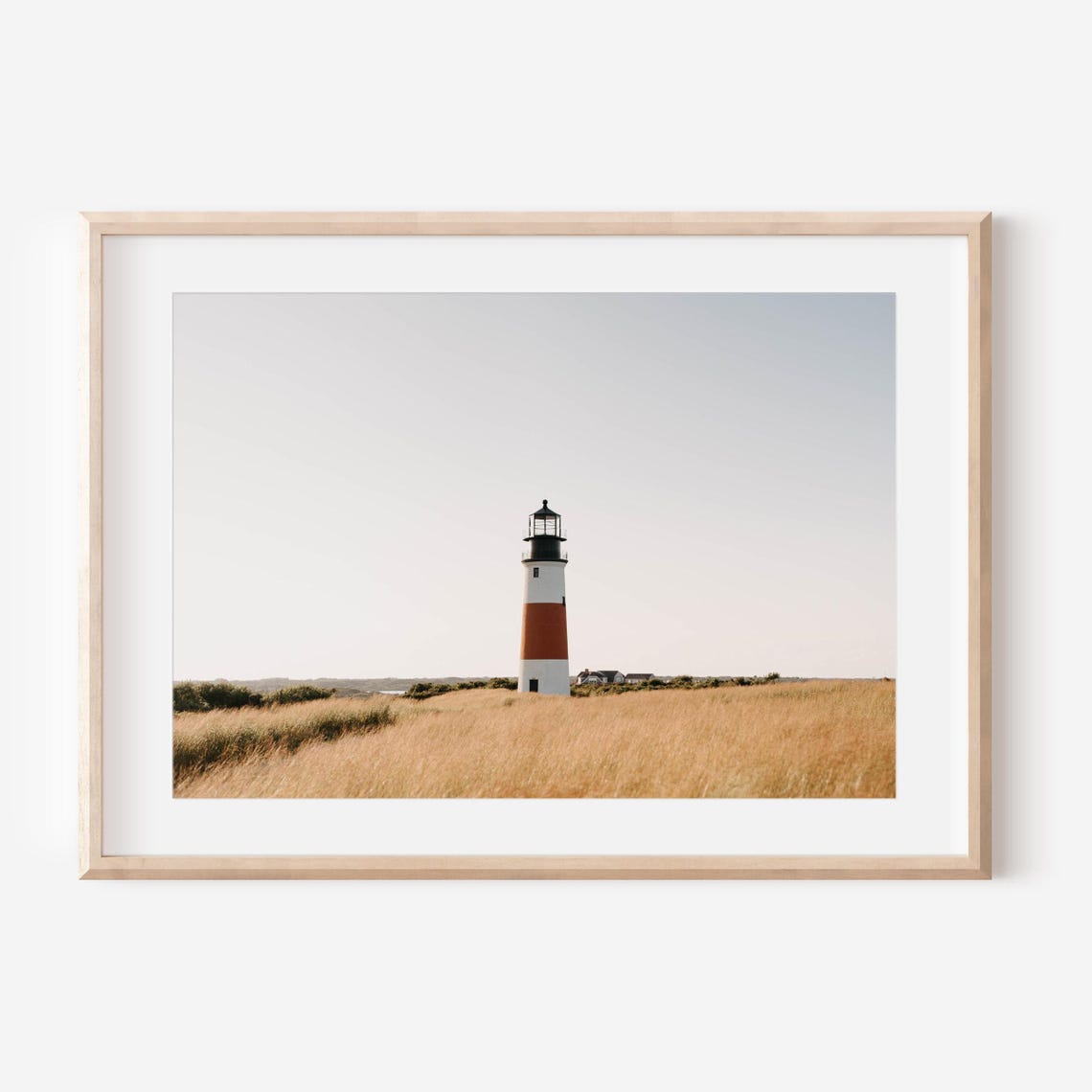 Sankaty Head Lighthouse Standing in Golden Dune Grass Poster