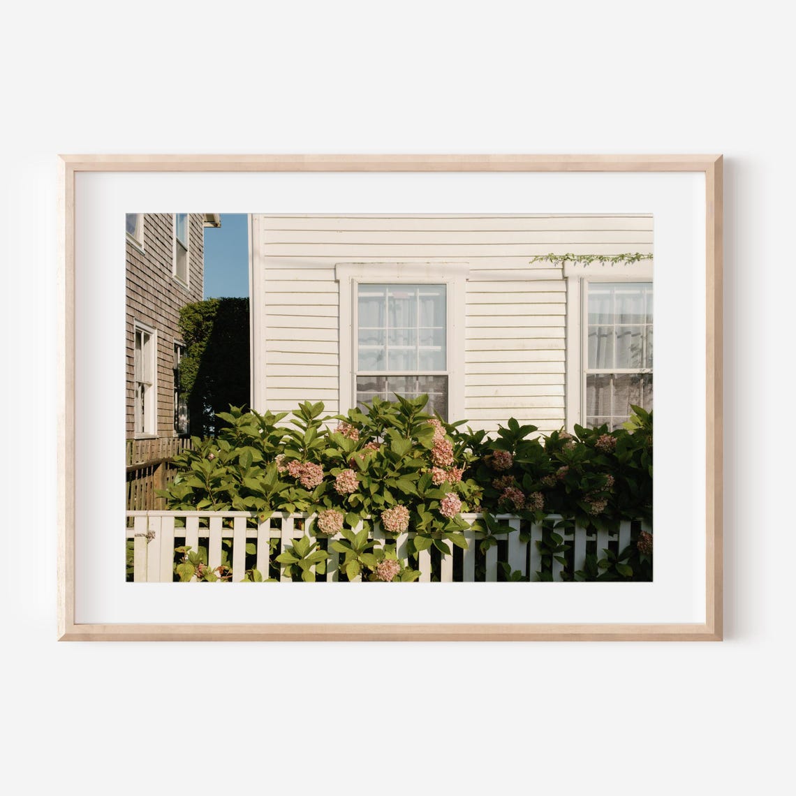 Nantucket Cottage with Blooming Hydrangeas and Picket Fence Poster