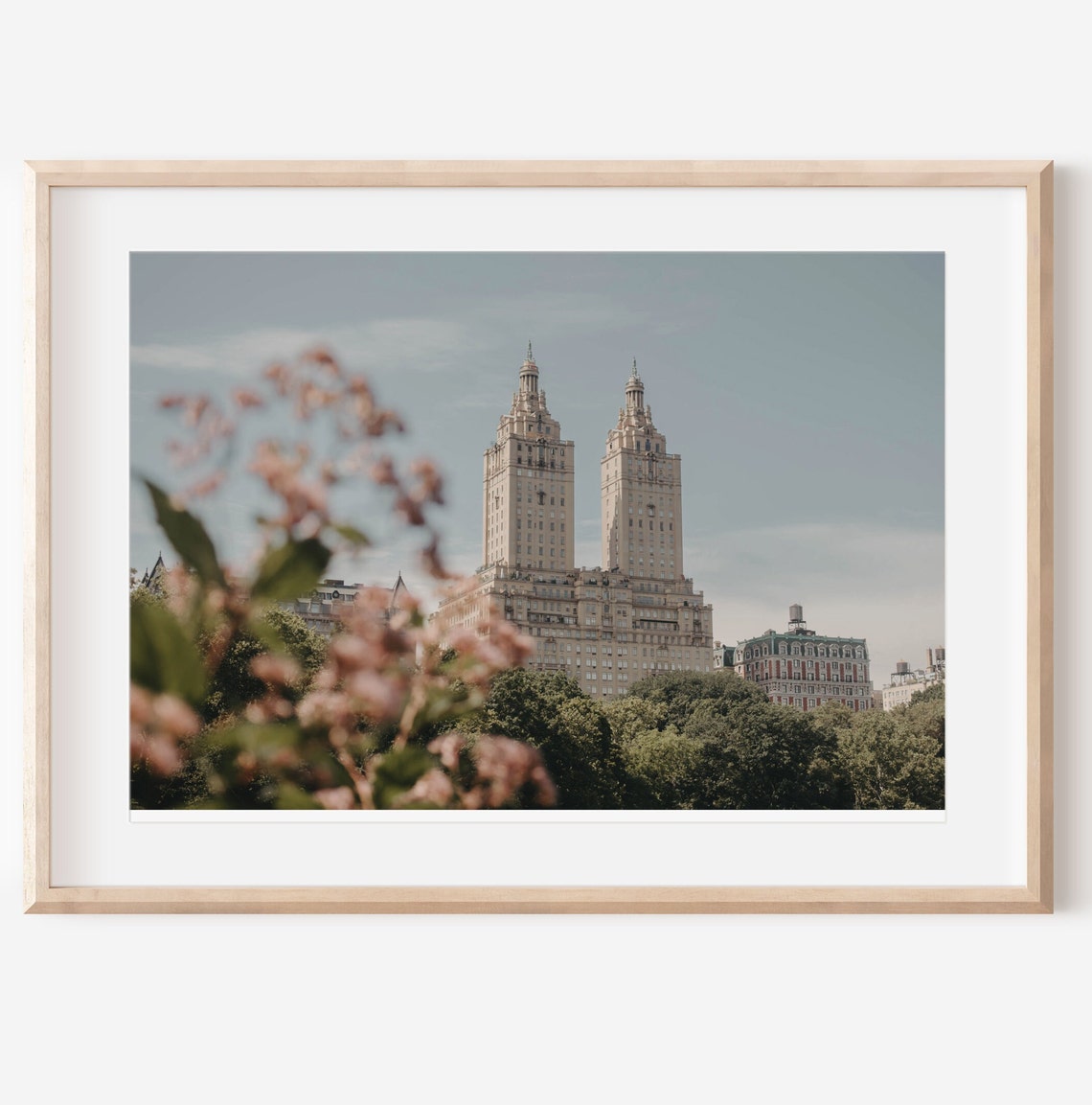 New York City San Remo Towers Spring Blossom Central Park Poster