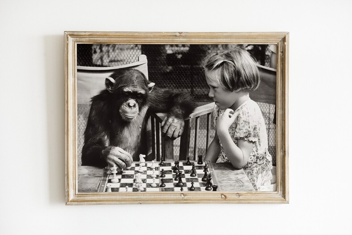 Chimpanzee Playing Chess With Little Girl Vintage Black And White Photo Poster - Image 2