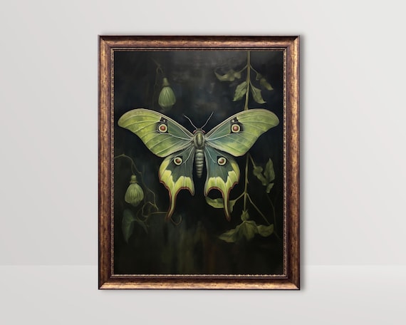 Luna Moth Botanical Gothic Art Print, Whimsigoth