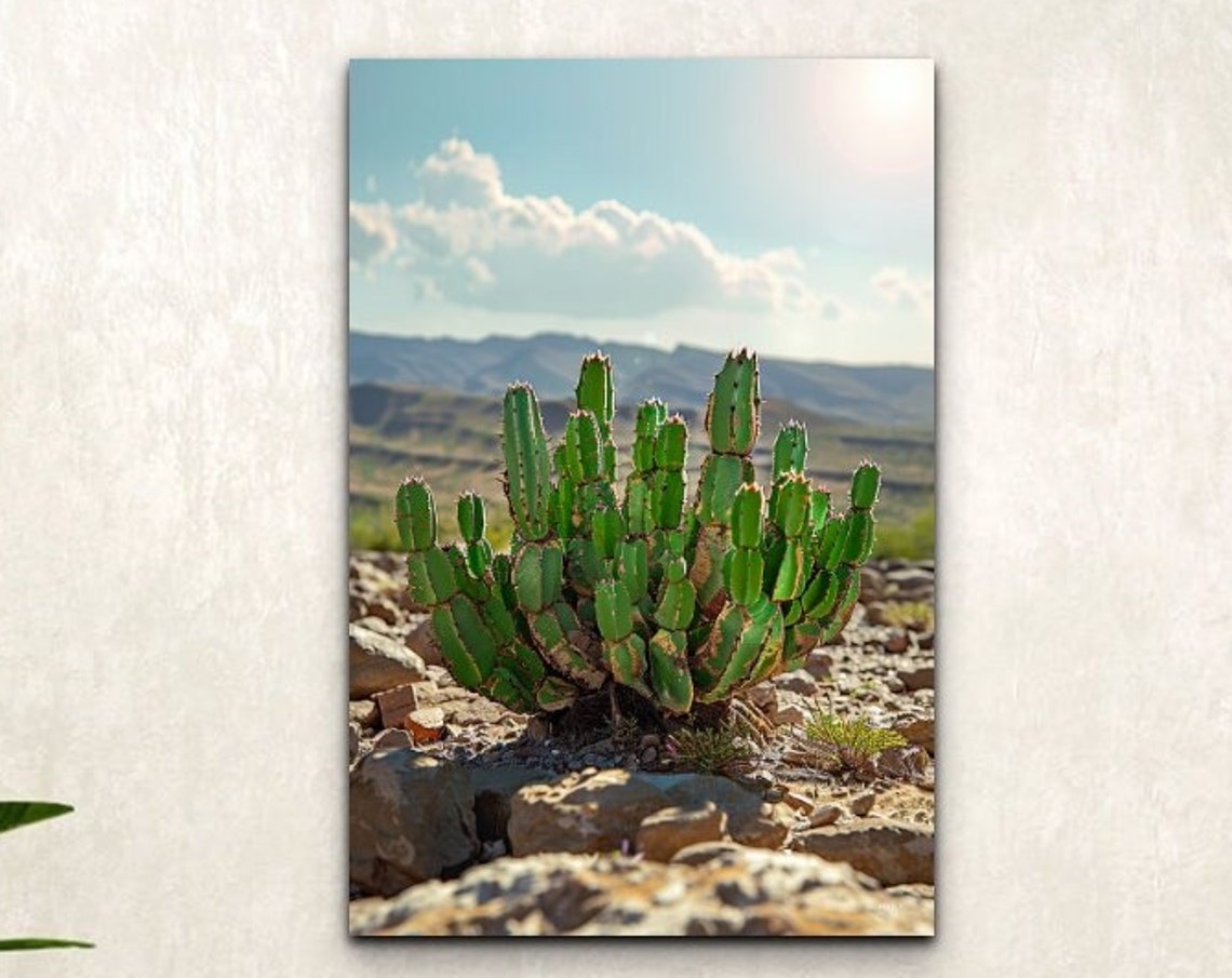 Desert Cactus Cluster With Mountain View Southwest Art Poster