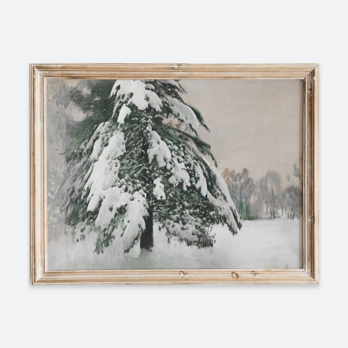Snow Laden Pine Tree In Winter Field Vintage Nature Landscape Poster