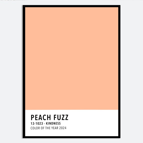 Peach Fuzz Poster Pastel Orange Color Card Wall Art Print Palette Poster Color Block Print Color Of The Year 2024 Colorful Decor Cc34