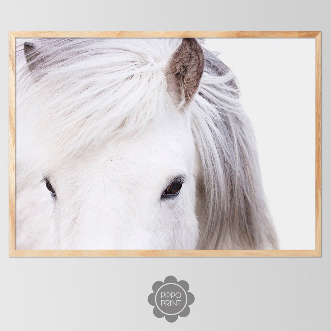 White Horse, Icelandic Horse Poster Print, Animal