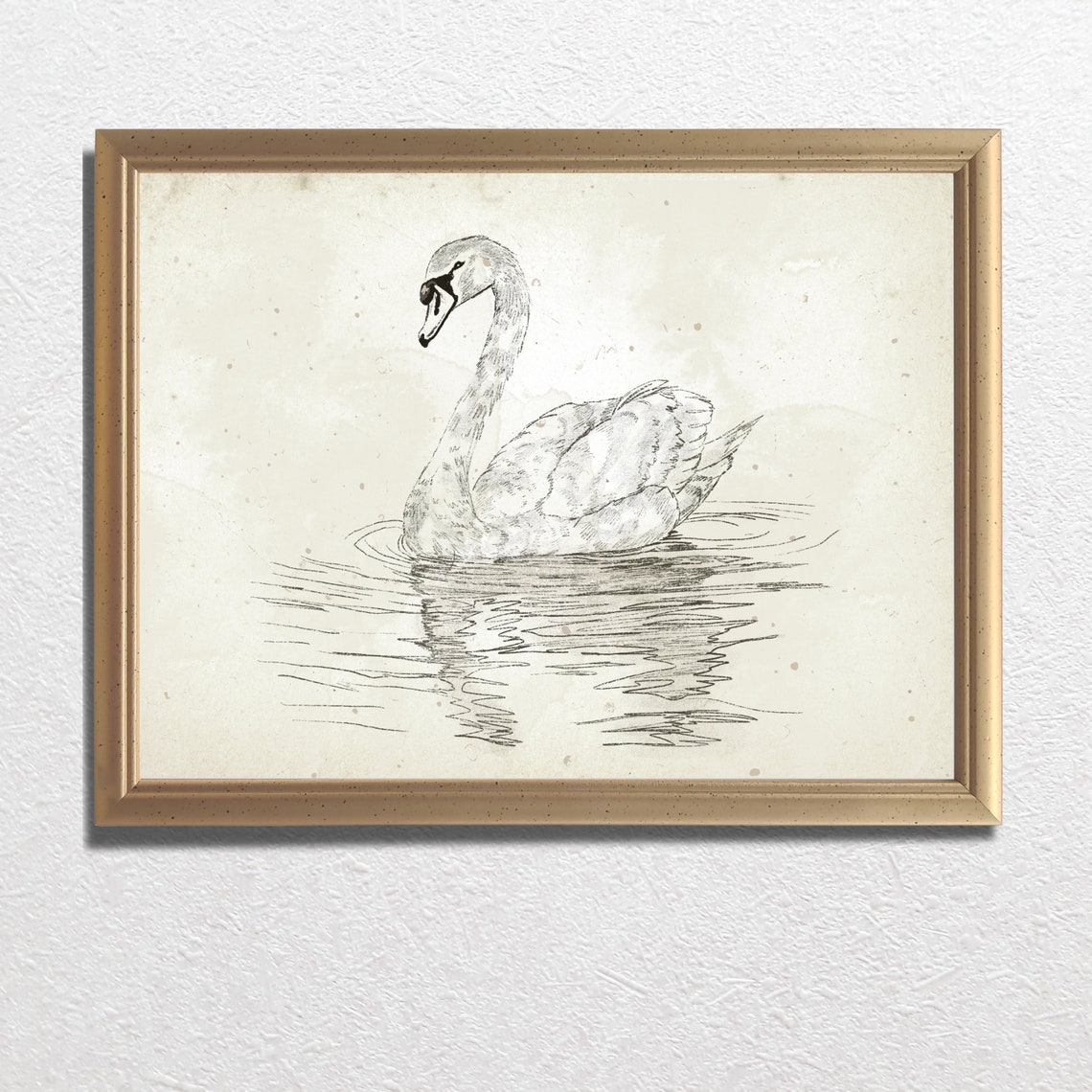 Swan Swimming Antique Pencil Sketch Neutral Vintage Nursery Wall Art