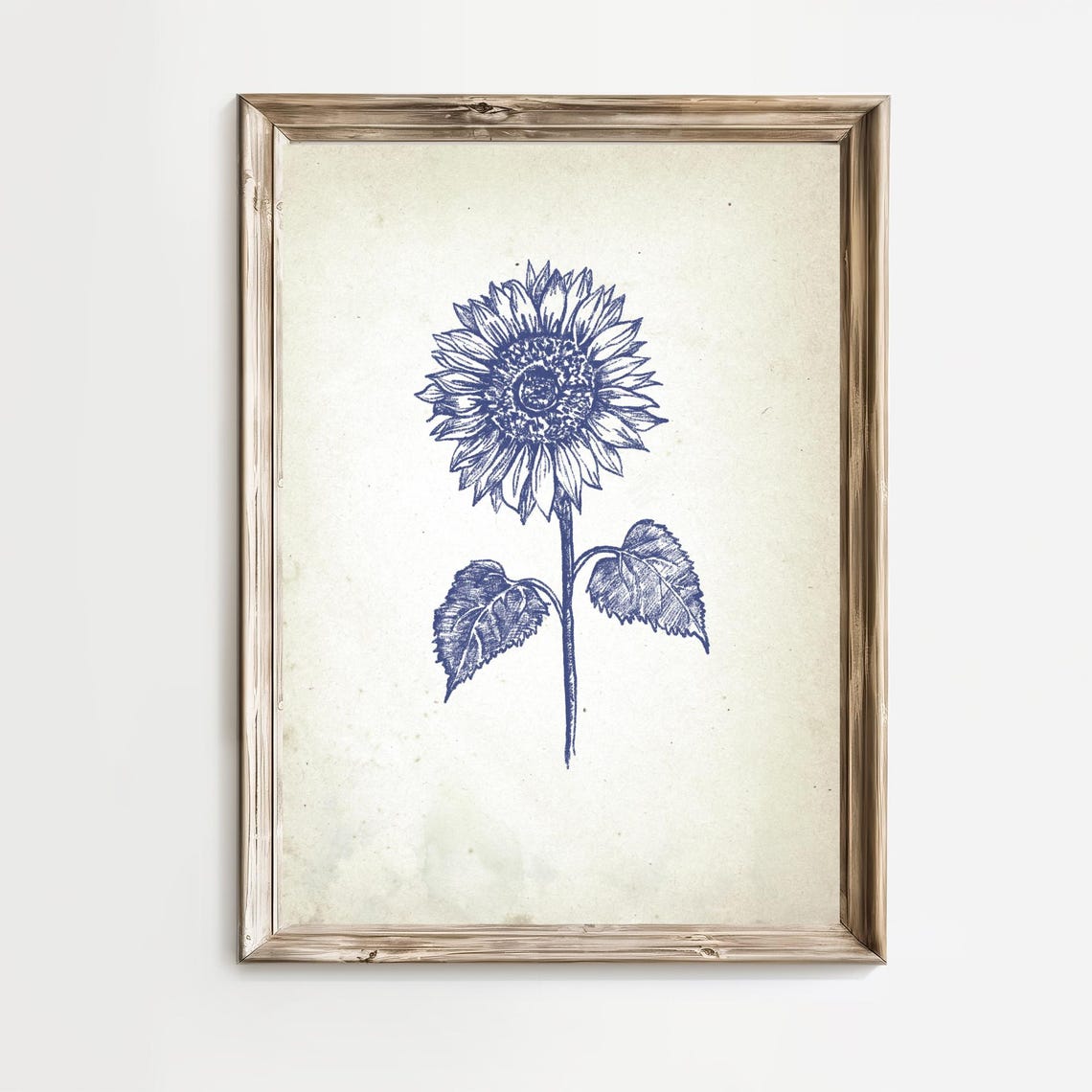 Blue Ink Sunflower Botanical Sketch In Vintage Floral Style Poster - Image 2