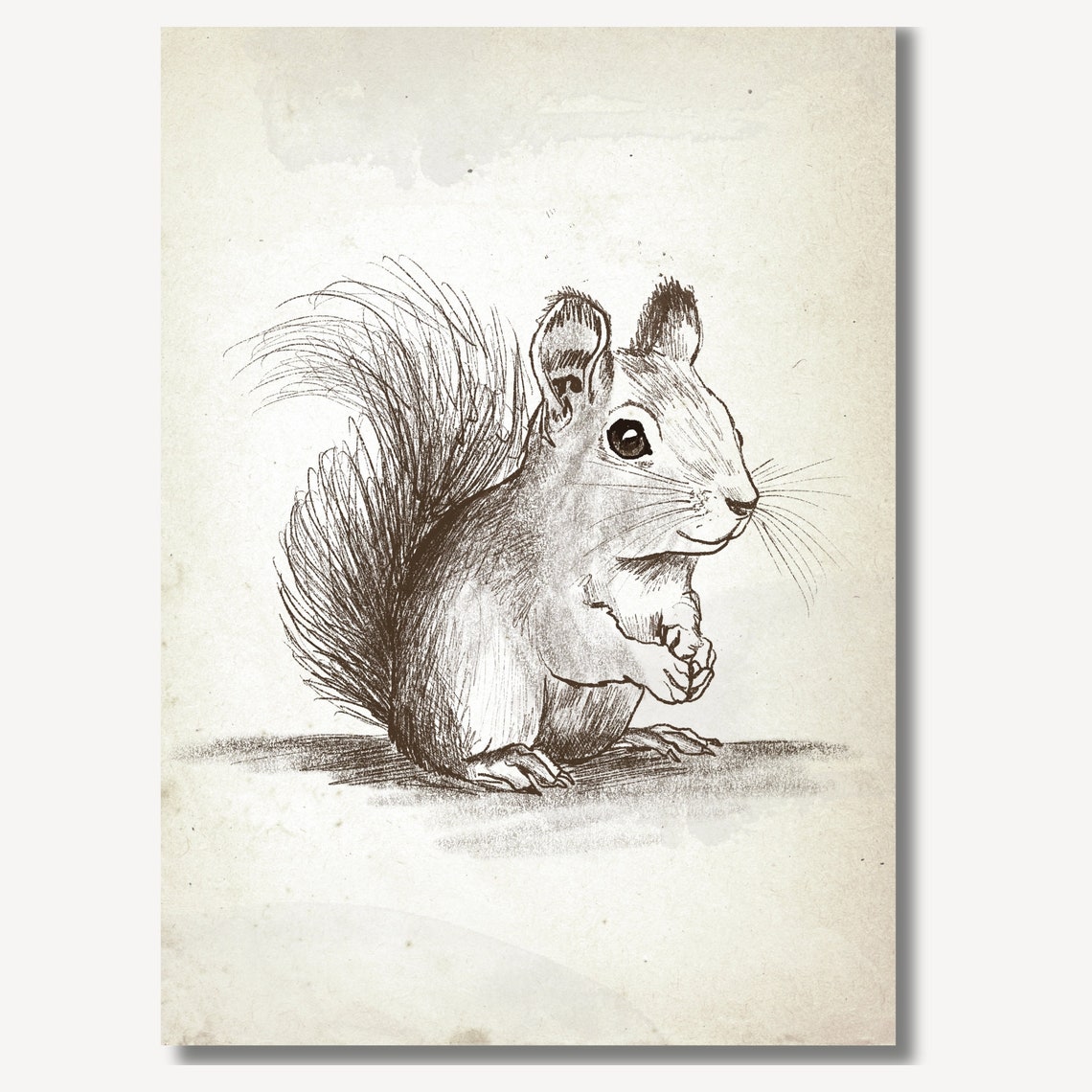 Vintage Squirrel Pencil Sketch Woodland Animal Nursery Wall Art - Image 2