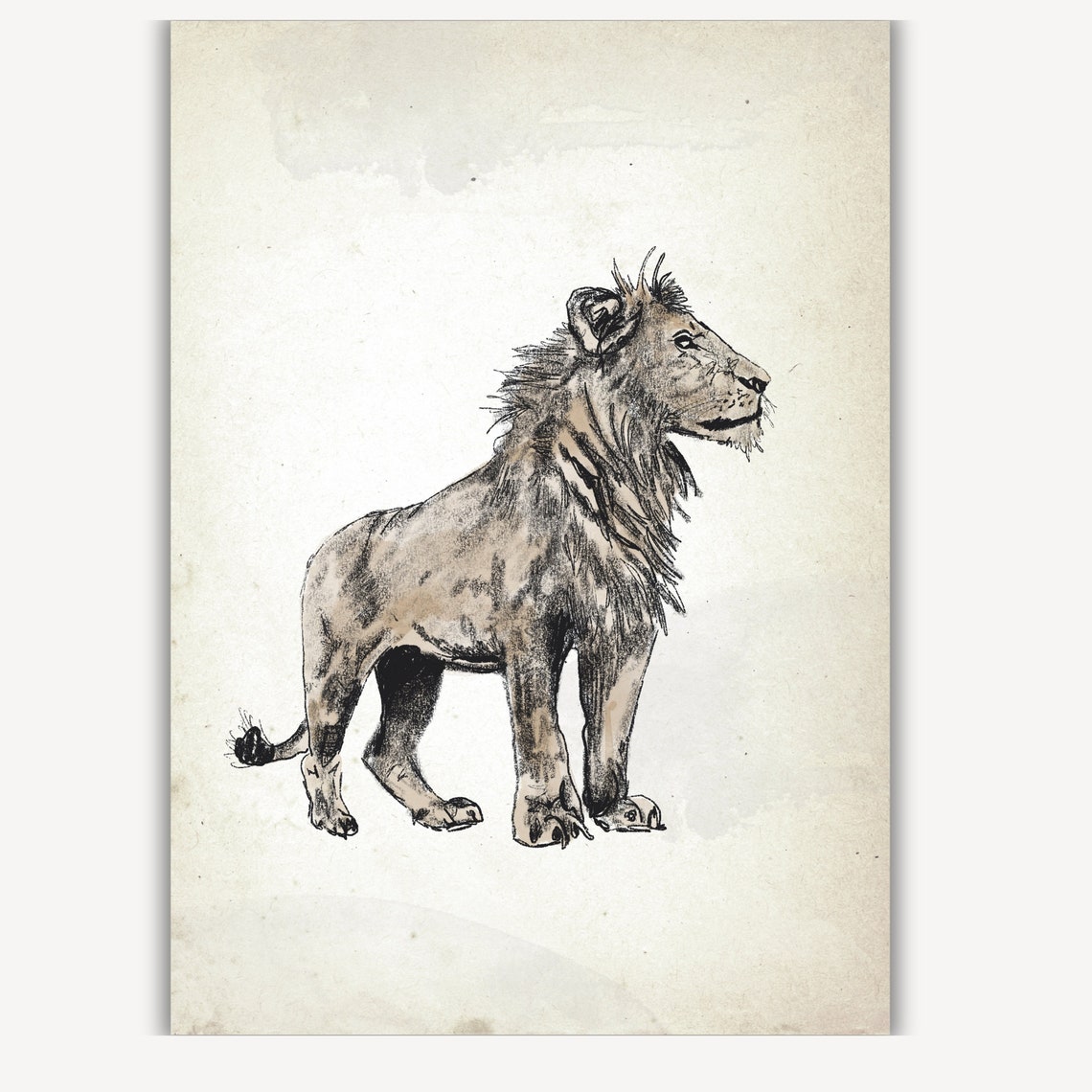 Standing Lion in Antique Safari Animal Sketch Nursery Poster - Image 3