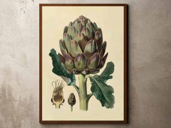 Vintage Artichoke Botanical Illustration Haeckel Style Vegetable Poster