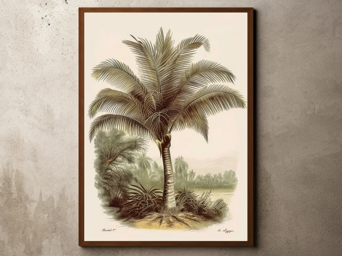 Vintage Coconut Palm Engraving Tropical Botanical Coastal Poster