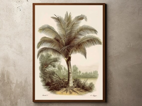 Vintage Palm Tree Drawing Rustic Antique Farmhouse Print Botanical Sketch Tropical Jungle Art