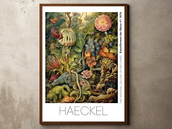 Ernst Haeckel Inspired Print Poster Botanical Wall Art Floral Illustrations Jungle Reptiles