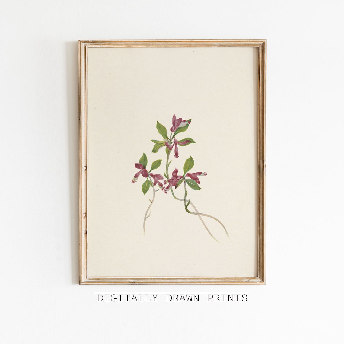 Burgundy Wildflower Branch Vintage Botanical Illustration Art Poster