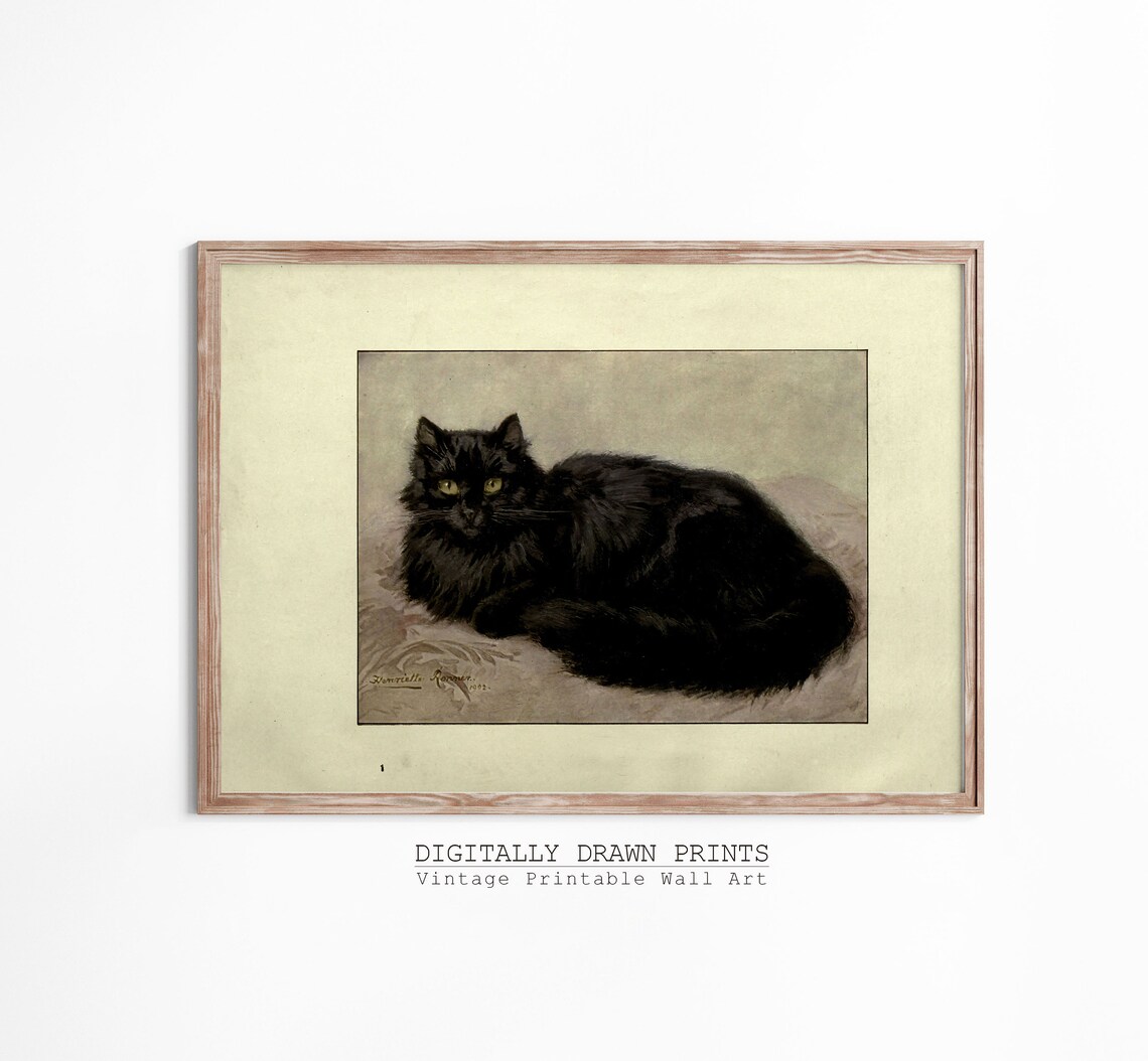 Antique Black Long Haired Cat Portrait Vintage Feline Painting Print - Image 3