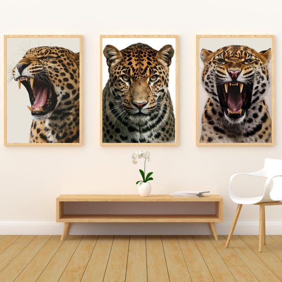 Leopard Poster Trio, Safari Jungle Animal
