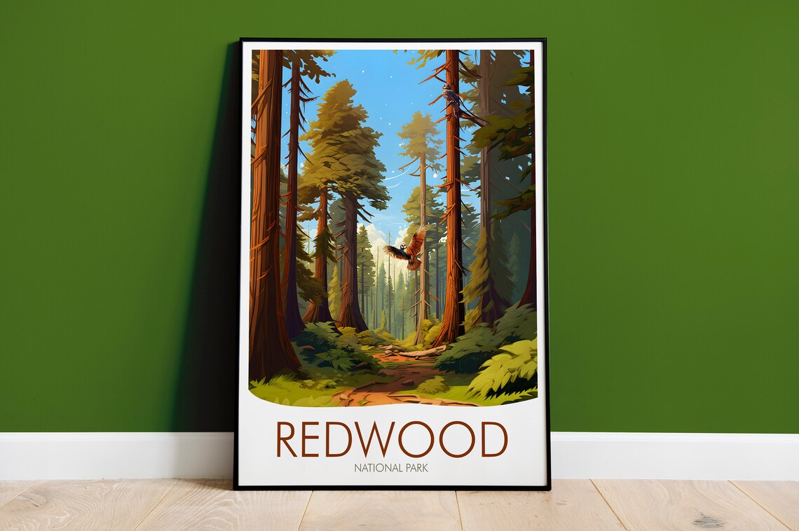 Redwood National Park Towering Trees Forest Path Bird Sky California Travel Poster