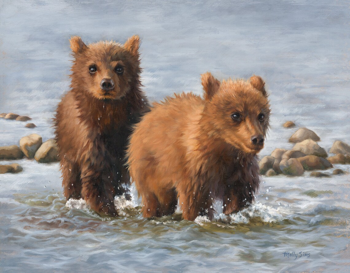 Bear Cub Wildlife Art Print, Molly Sims Open Edition