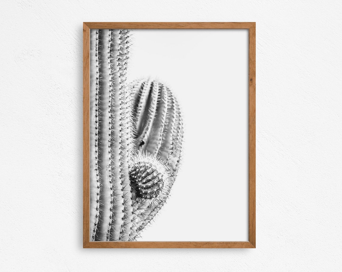 Single Desert Cactus, Desert Wall Decor