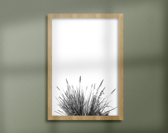 Minimal Nature Wall Art Print Black And White Pampas Grass Botanical Poster Modern Home Decor