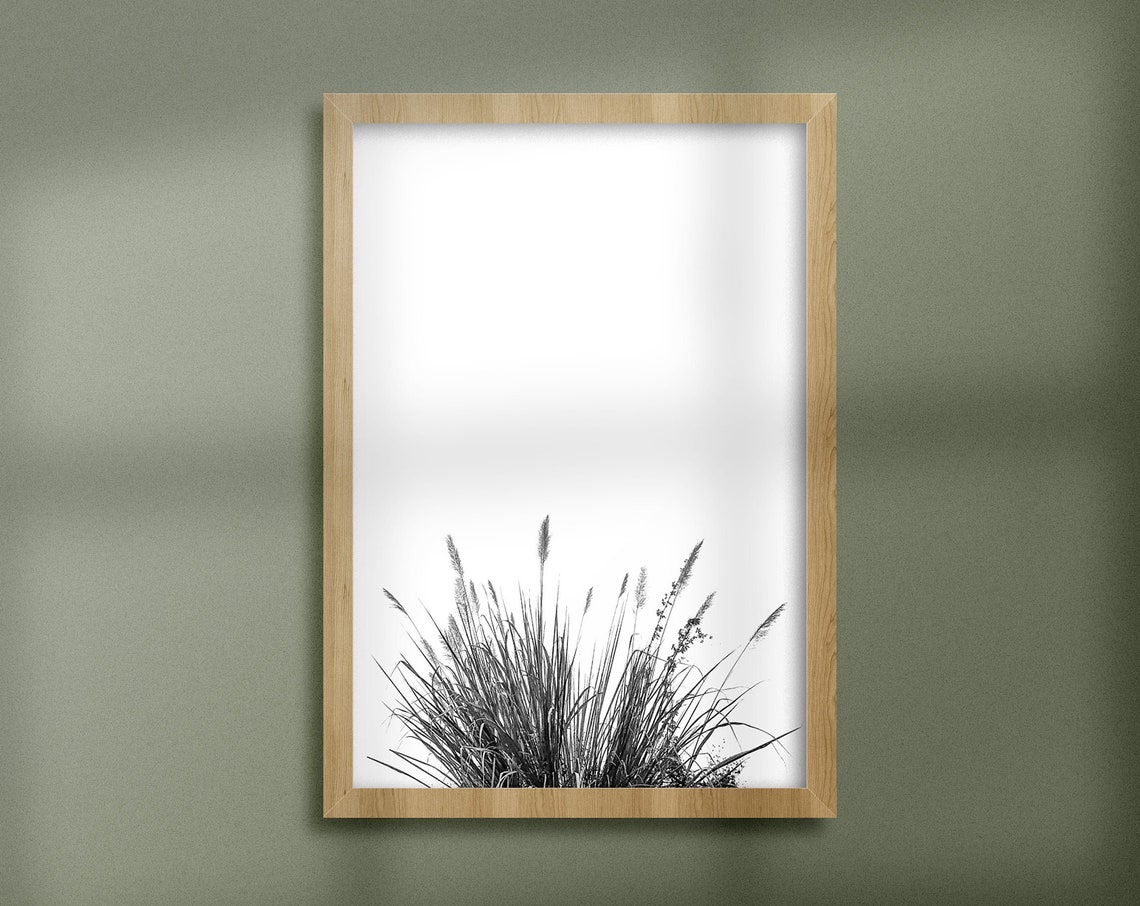 Minimal Nature Wall Art Print Black And White Pampas Grass Botanical Poster Modern Home Decor