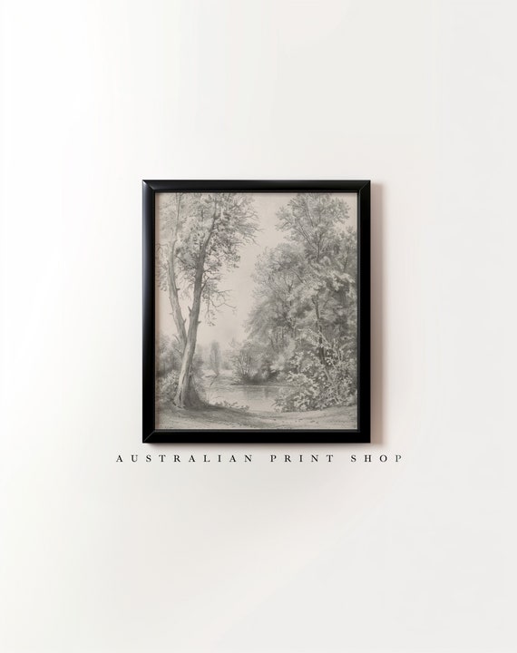 Vintage Oak Tree Landscape Sketch Drawing Of Trees Etching Wall Decor Minimalist Art Farmhouse