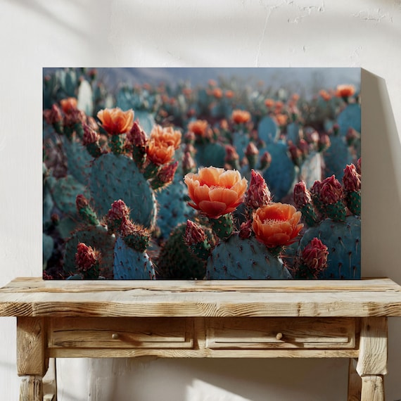 Blooming Prickly Pear Cactus With Vibrant Orange Flowers Poster