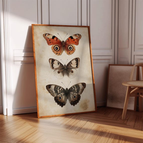 Vintage Moth Canvas Wall Art Insect Illustration Print Neutral Nature Decor Entomology Poster For Rustic Home Or Study