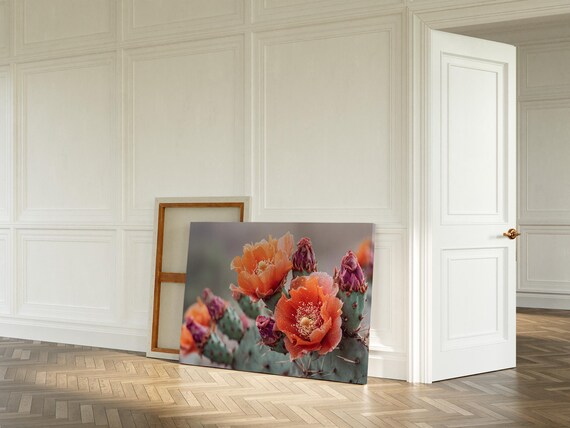 Desert Cactus Blooms Art Print
