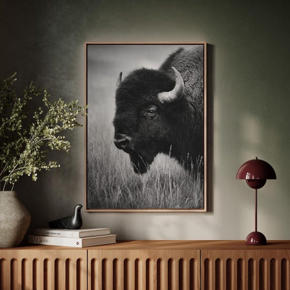 Bison Closeup Black And White Wildlife Art Print