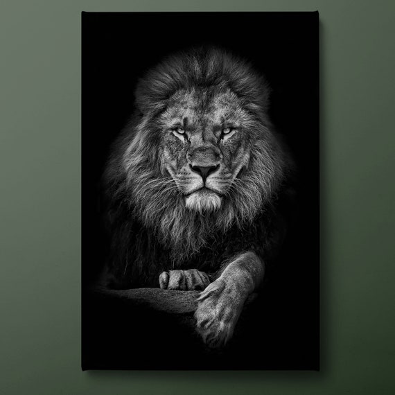 Black and White Lion Portrait Wall Art Poster Print