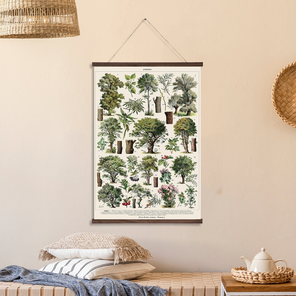 Botanical Tree Illustration, Adolphe Millot Art Print