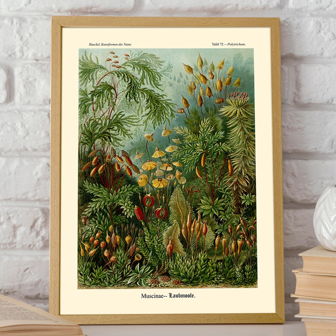 Moss Illustration Nature Poster, Wall Art Print - Image 2
