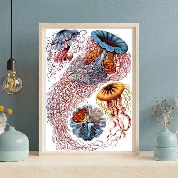 Ocean Colorful Jellyfish Wall Art Underwater Nautical Wall Art
