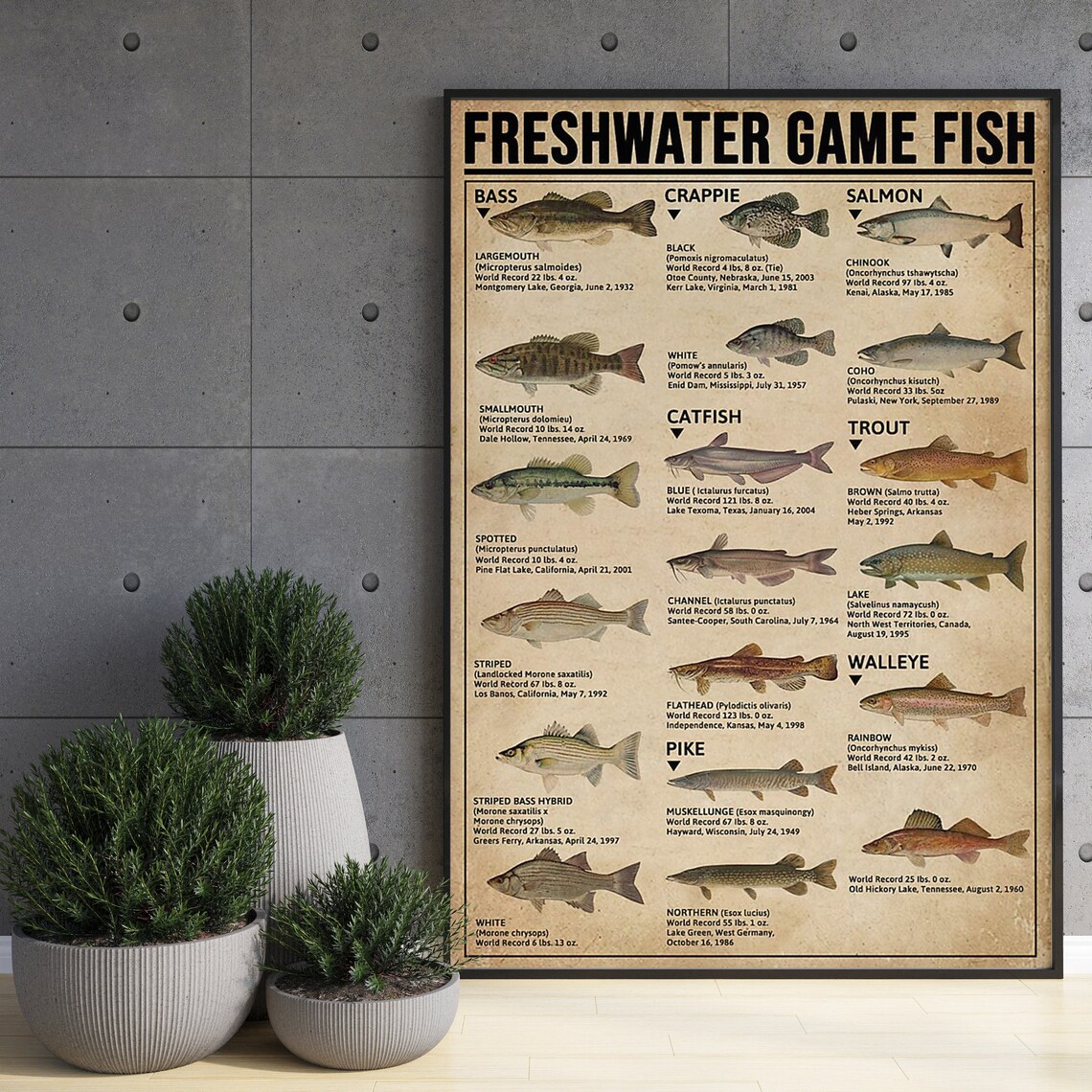 Freshwater Game Fish Knowledge, Vintage Fishing Poster - Image 3