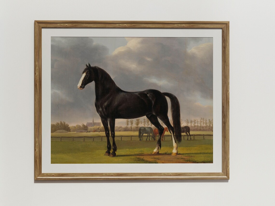 Vintage Horse Portrait Art Print, Black Horse - Image 2