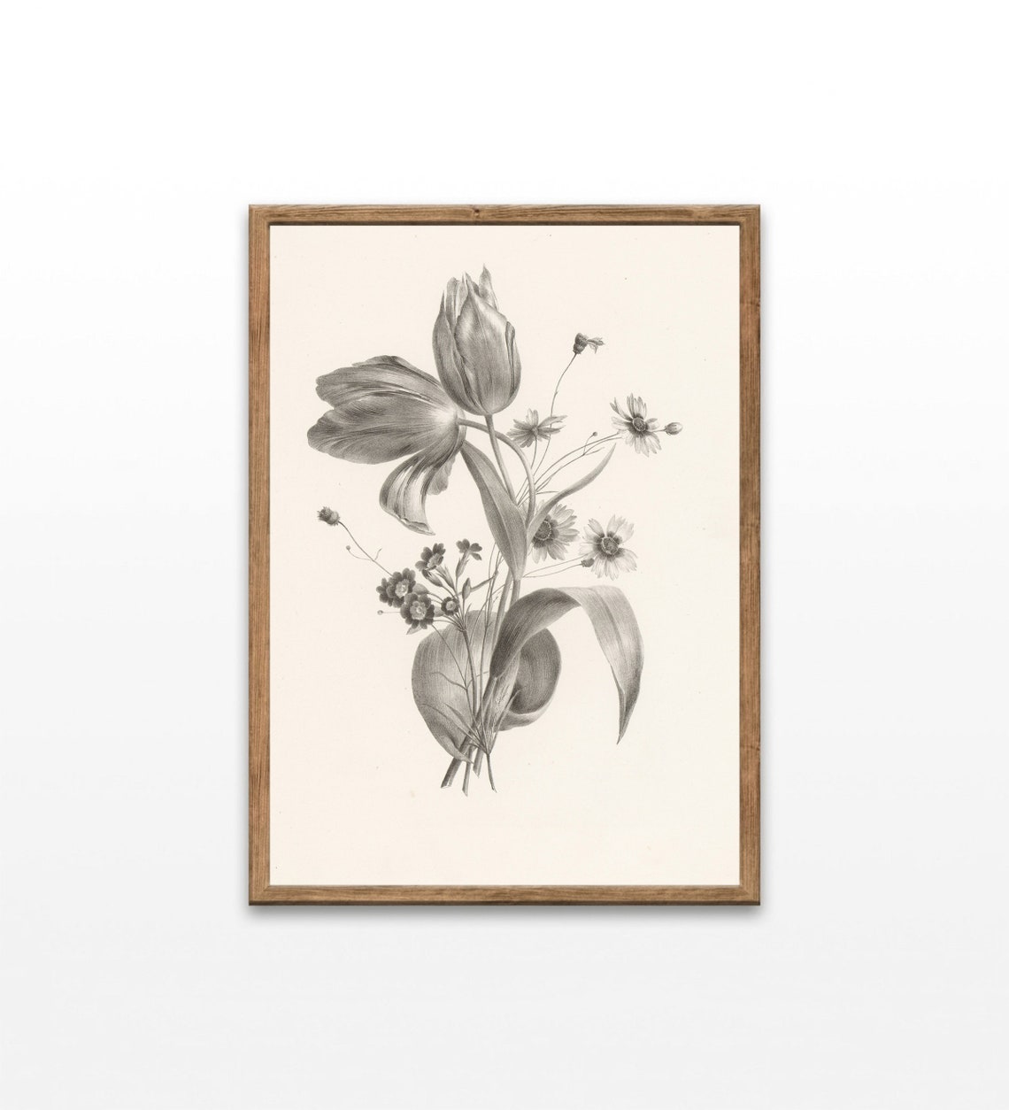 Tulip Daisy Blossoms Vintage Botanical Engraving Wall Art Print