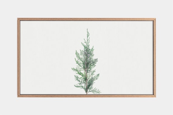 Frame Tv Art Vintage Juniper Painting Pine Trees In Art Art For Frame Tv Instant