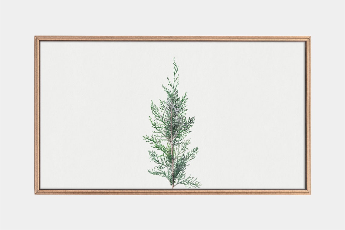 Frame Tv Art Vintage Juniper Painting Pine Trees In Art Art For Frame Tv Instant
