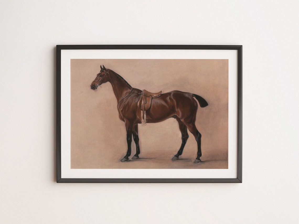 Saddled Bay Horse Studio Portrait Vintage Equestrian Art Poster - Image 4