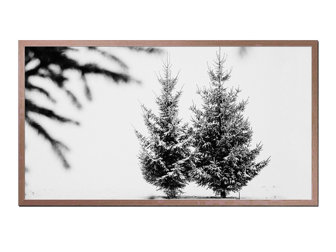 Snowy Pine Trees Black White Minimalist Winter Photography Art Poster