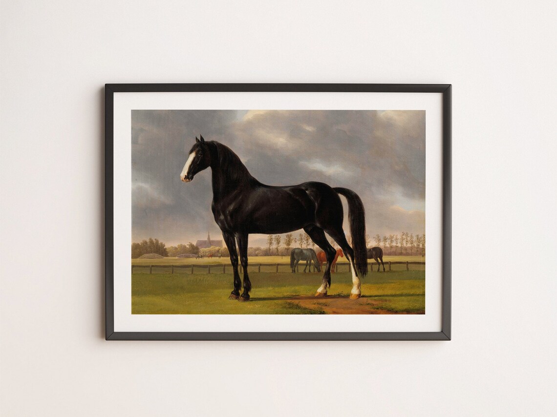 Vintage Horse Portrait Art Print, Black Horse - Image 4