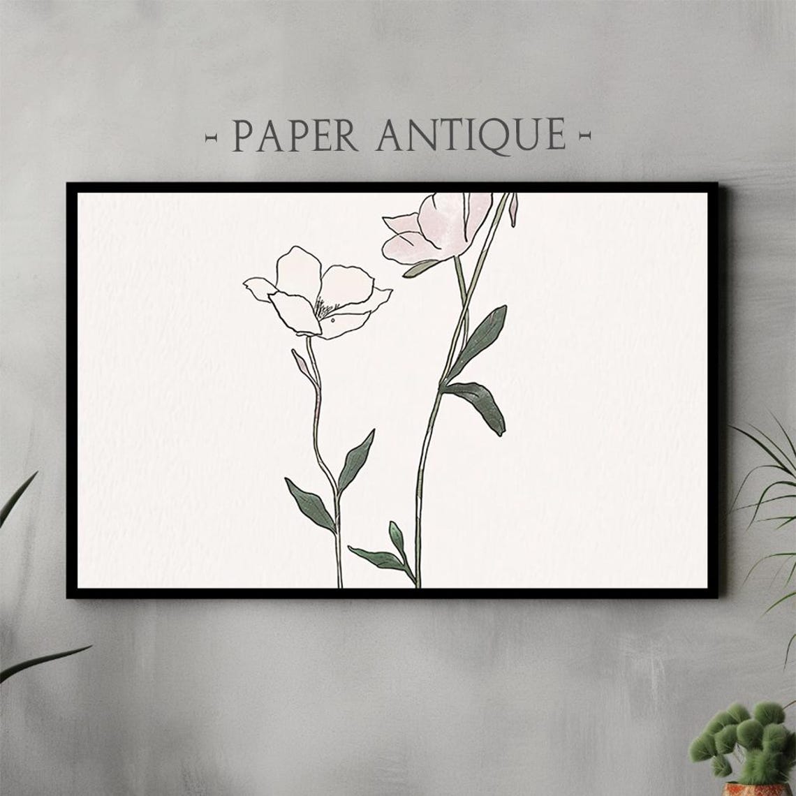 Minimalist Poppy Line Drawing Pale Pink Botanical Sketch Art Poster