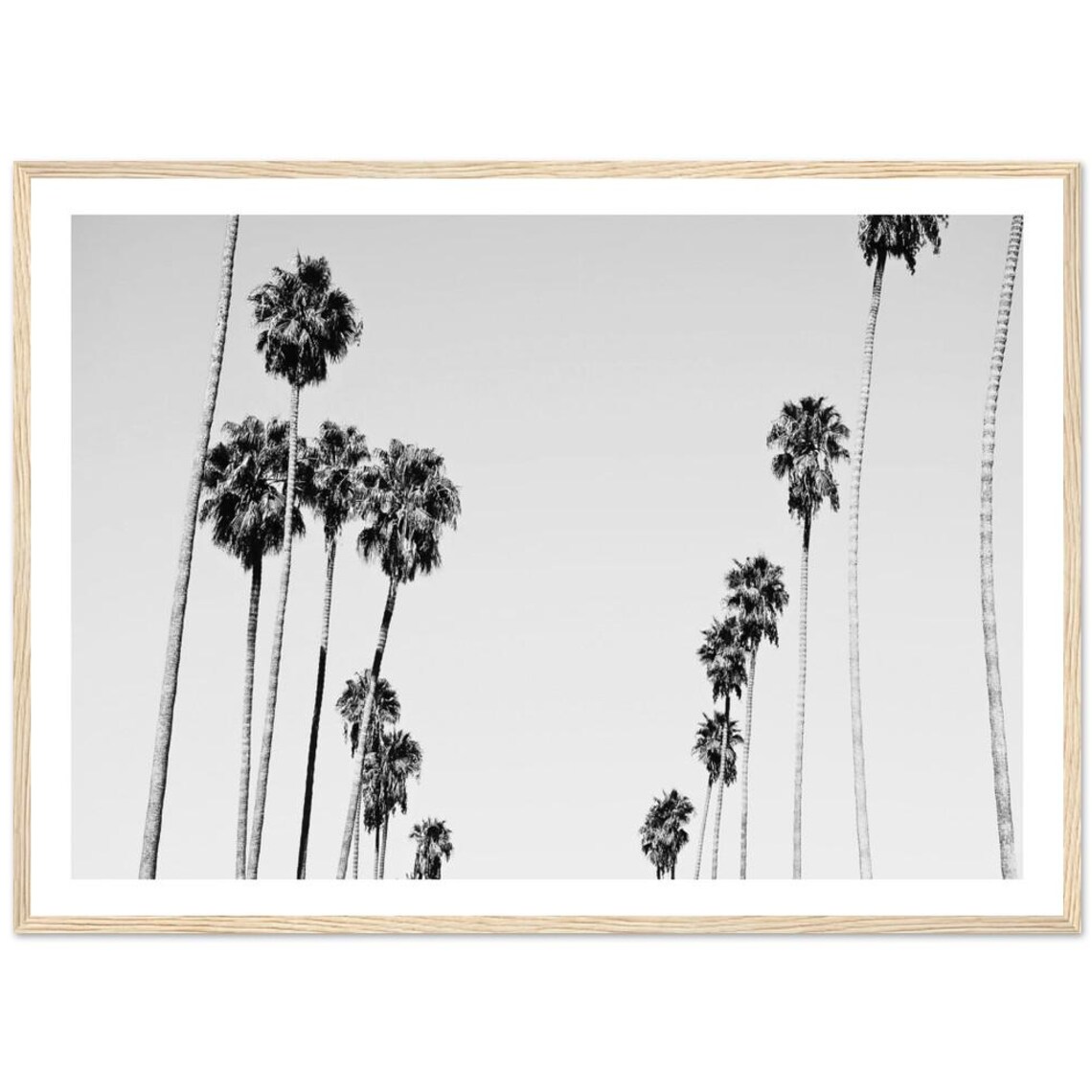 Black And White Minimalist Palm Trees Art Print
