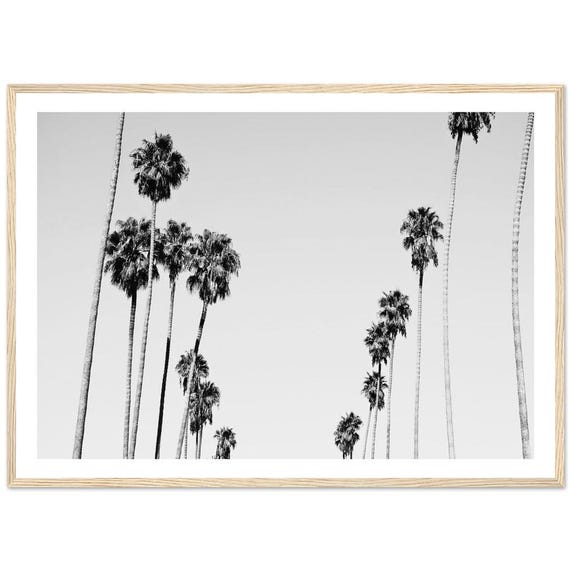 Black And White Minimalist Palm Trees Art Print