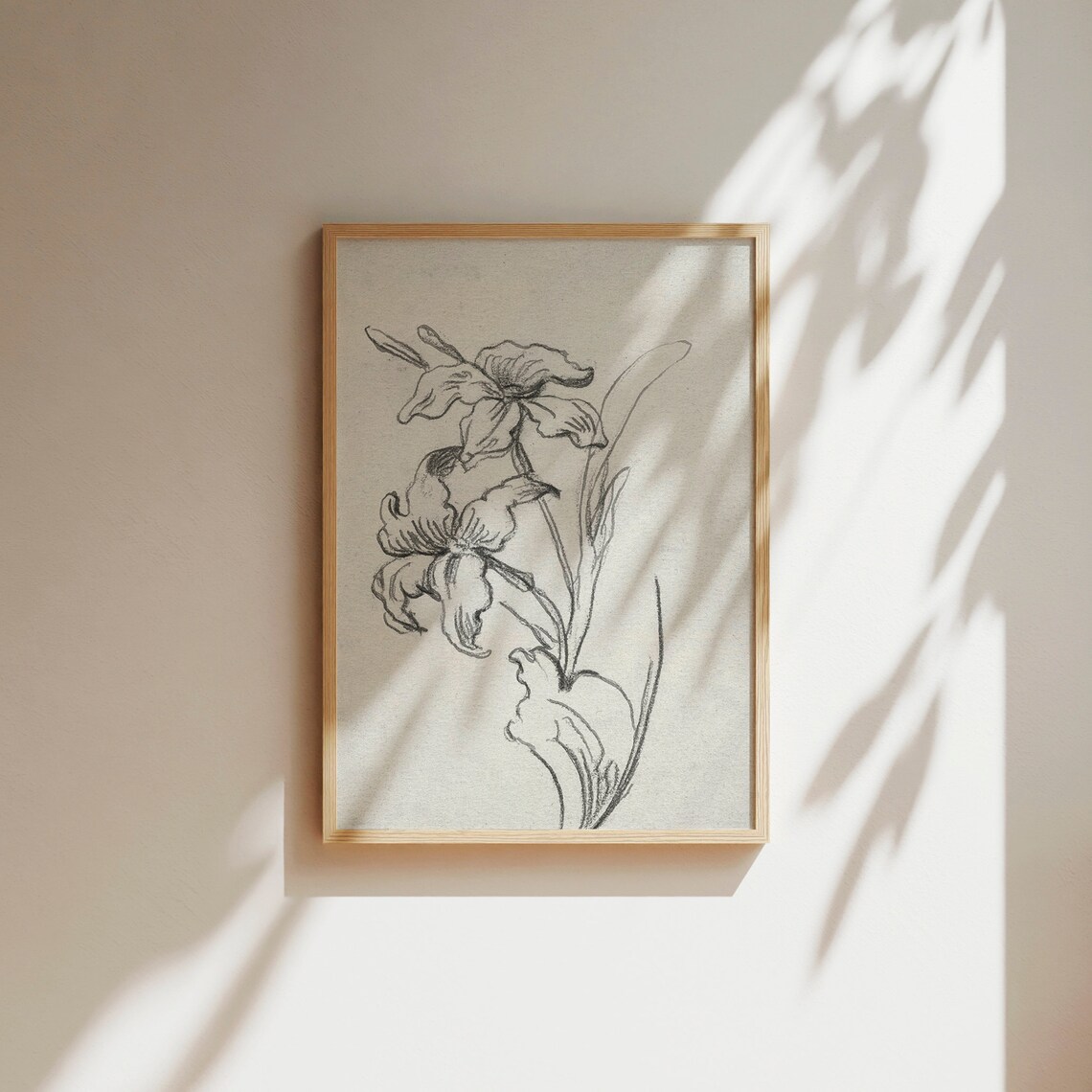 Vintage French Botanical Iris Ink Sketch Drawing Antique Wall Art - Image 5