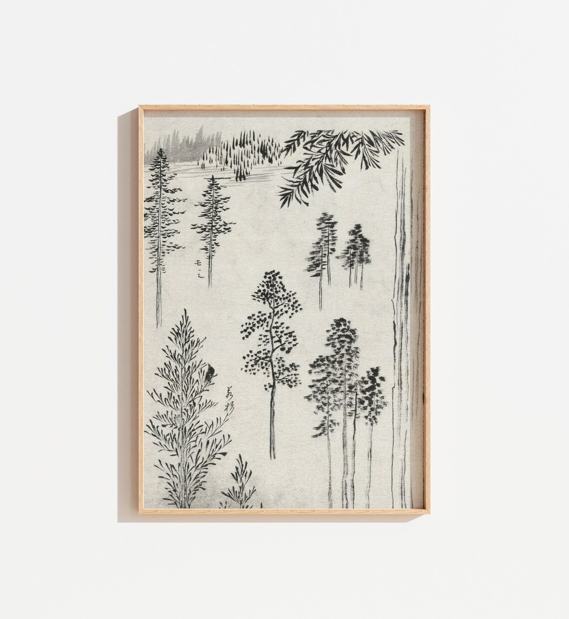 Vintage Tree Drawing, Antique Tree Sketch Art Print