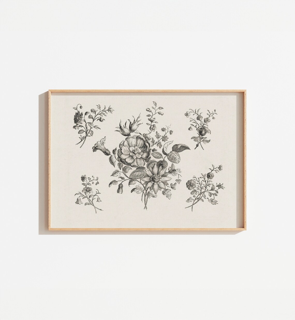 Vintage French Botanical Print, Cottage Farmhouse Art