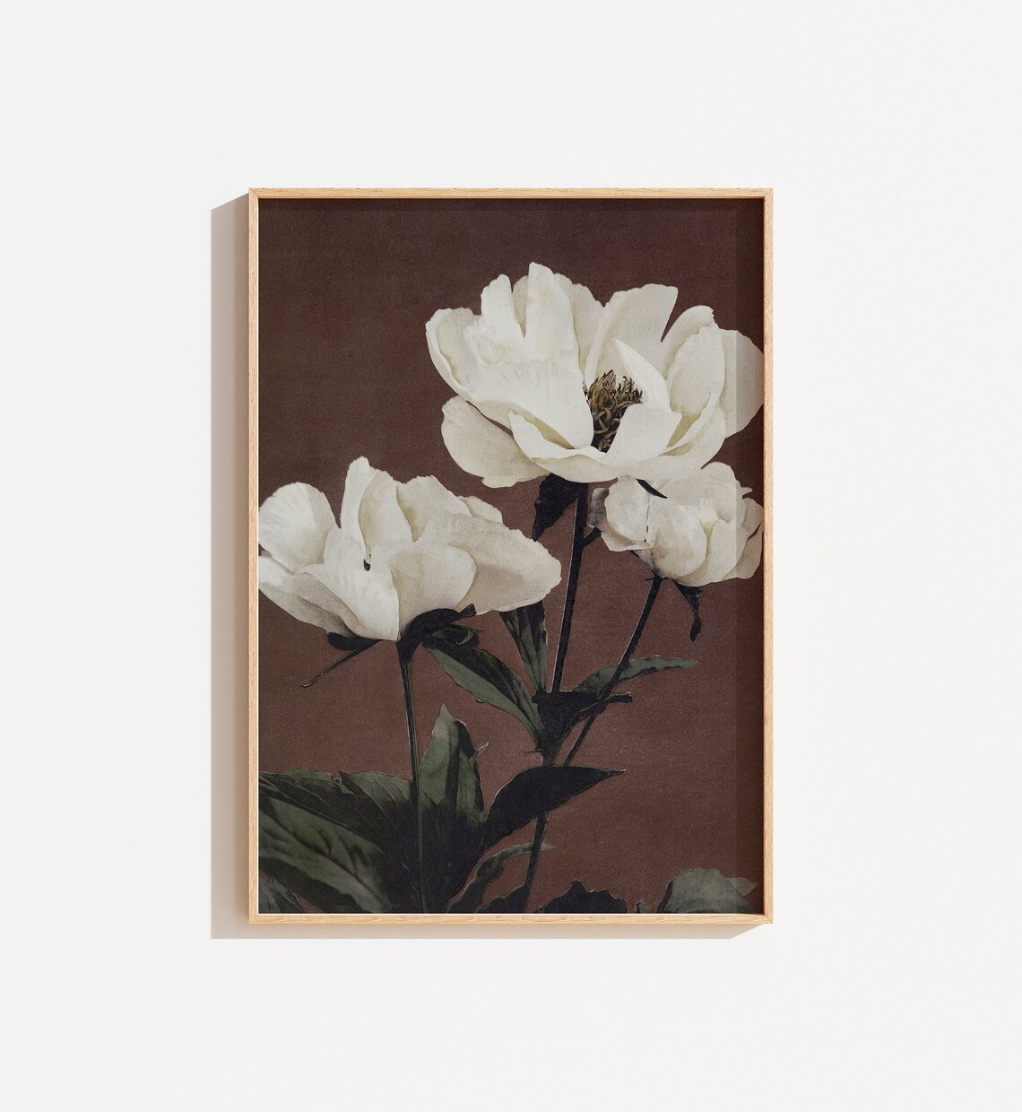 Vintage Muted Floral Still Life Art Print